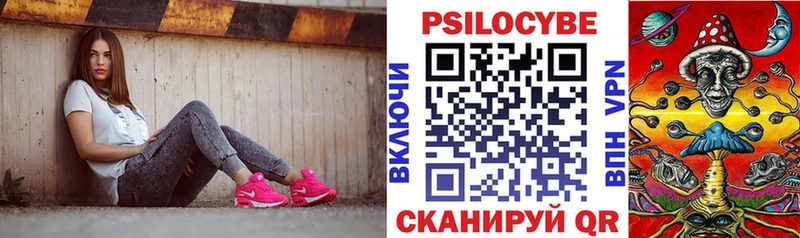 закладка  Кисловодск  Псилоцибиновые грибы мухоморы 