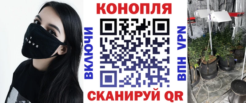 Бошки Шишки SATIVA & INDICA  кракен онион  Кисловодск  наркотики 